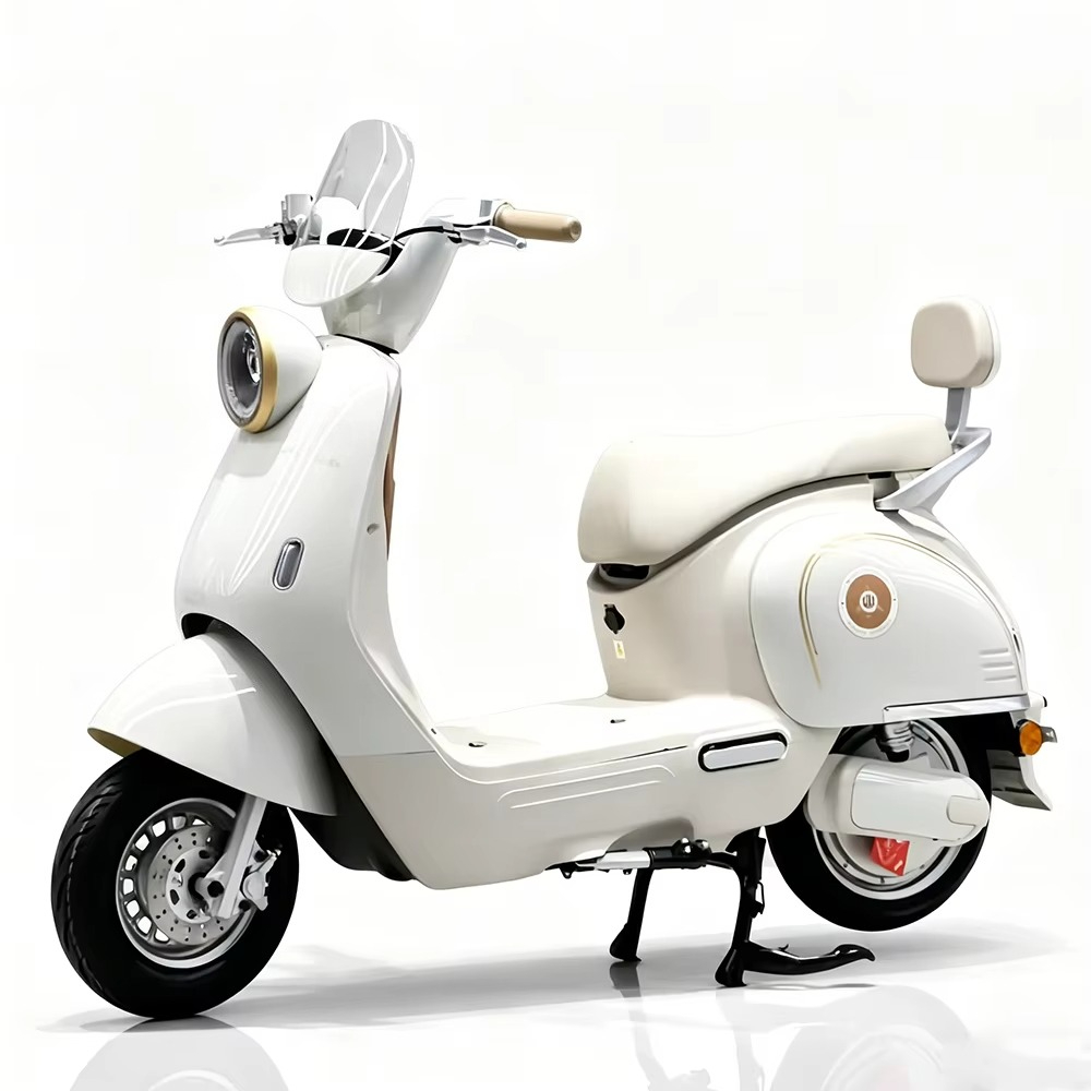 EER elektrische motorfiets voo - Brake Disc Motorcycle recensie en prijs